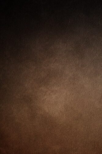 default-empty-333x500 default-empty-333x500
